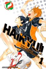 Haikyu!!, Vol. 1: Hinata and Kageyama