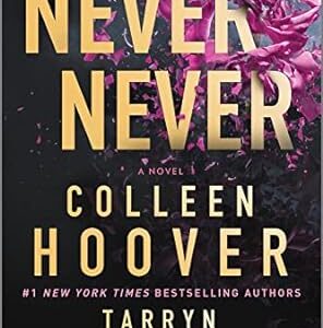 Never Never (collen and tarryn fisher)